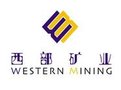 青海西部礦業有限公司